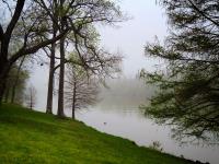 Foggy